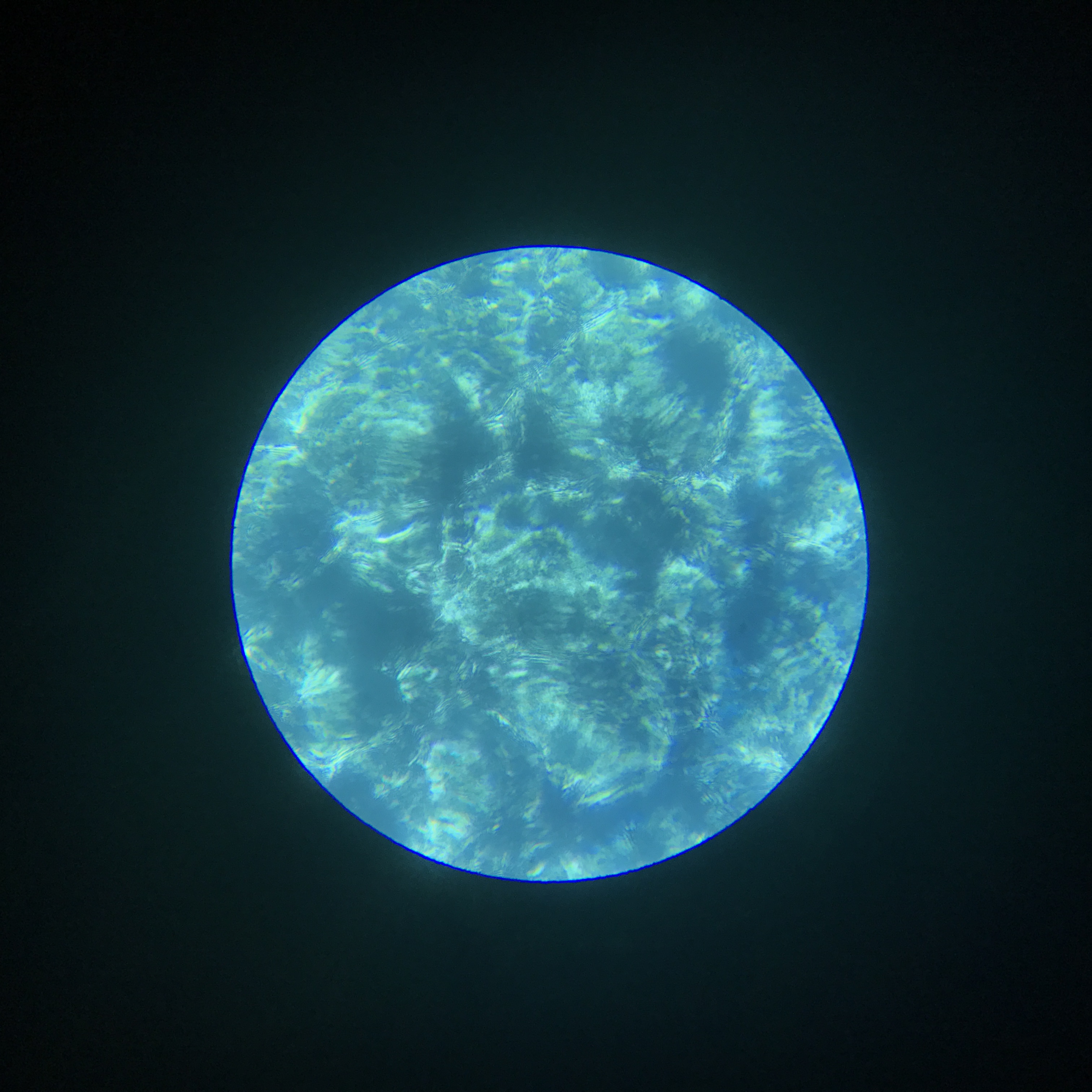 意外性No.1だったmicroplanets