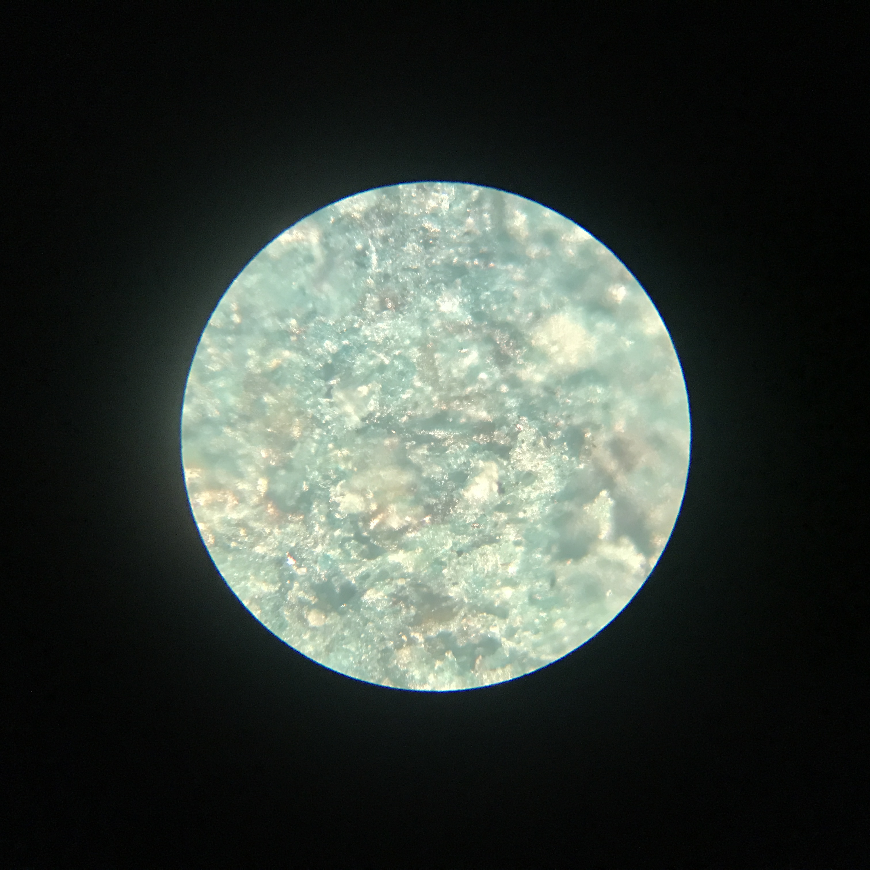 夏のmicroplanetsクイズ⑧