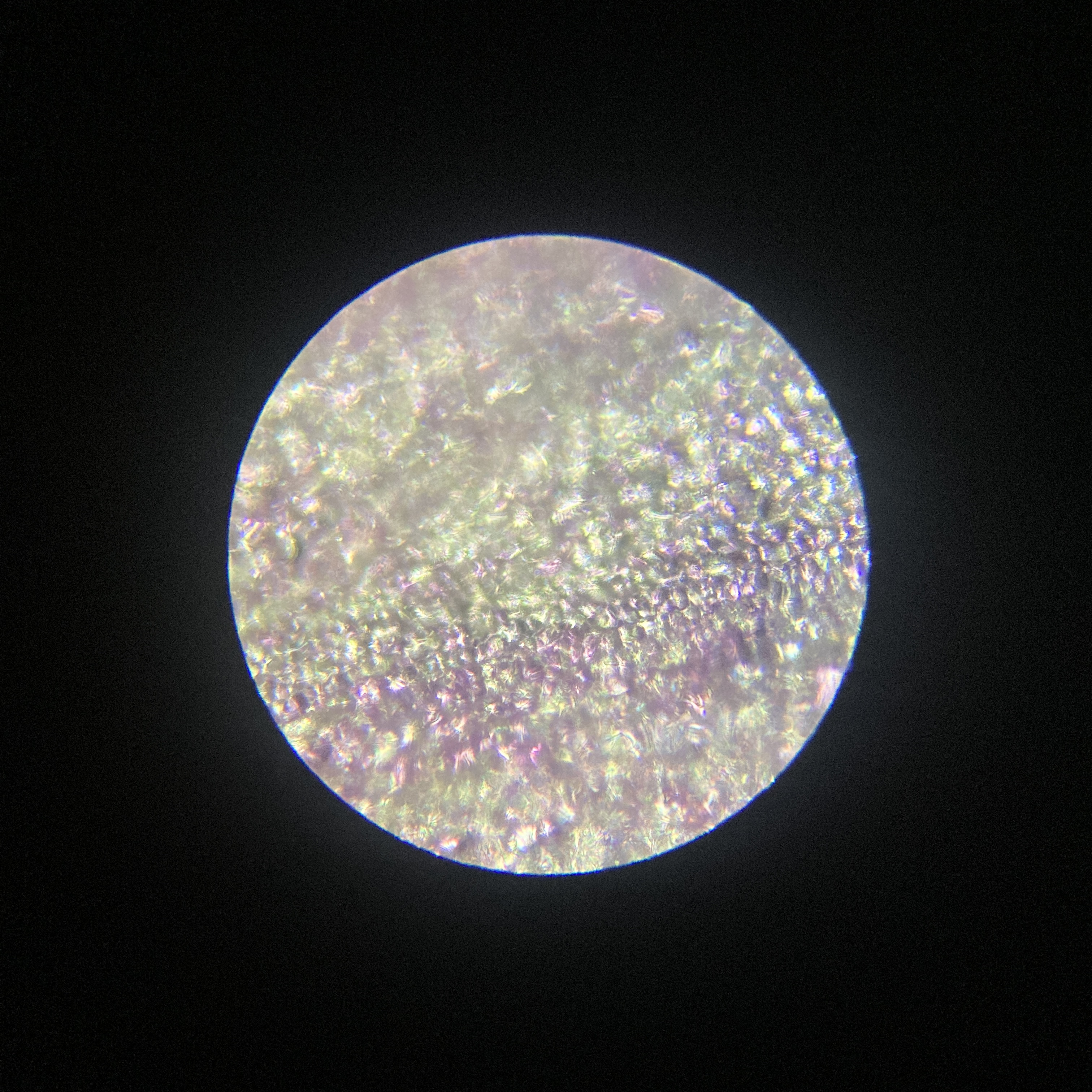 このmicroplanetsは？