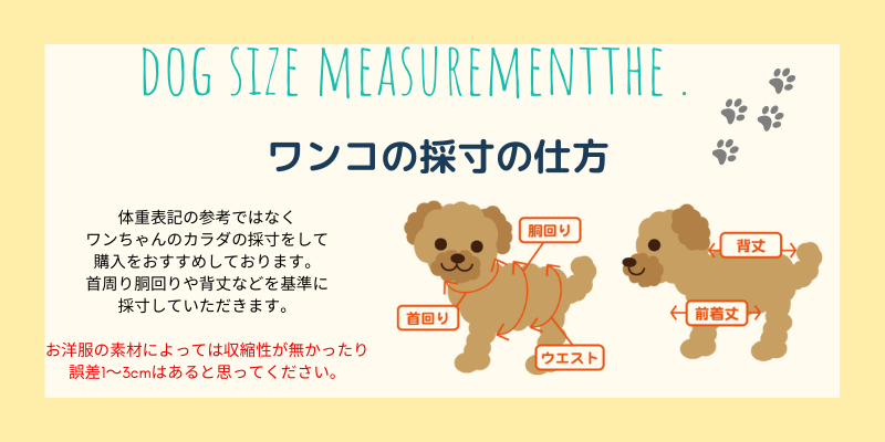 ワンコの採寸