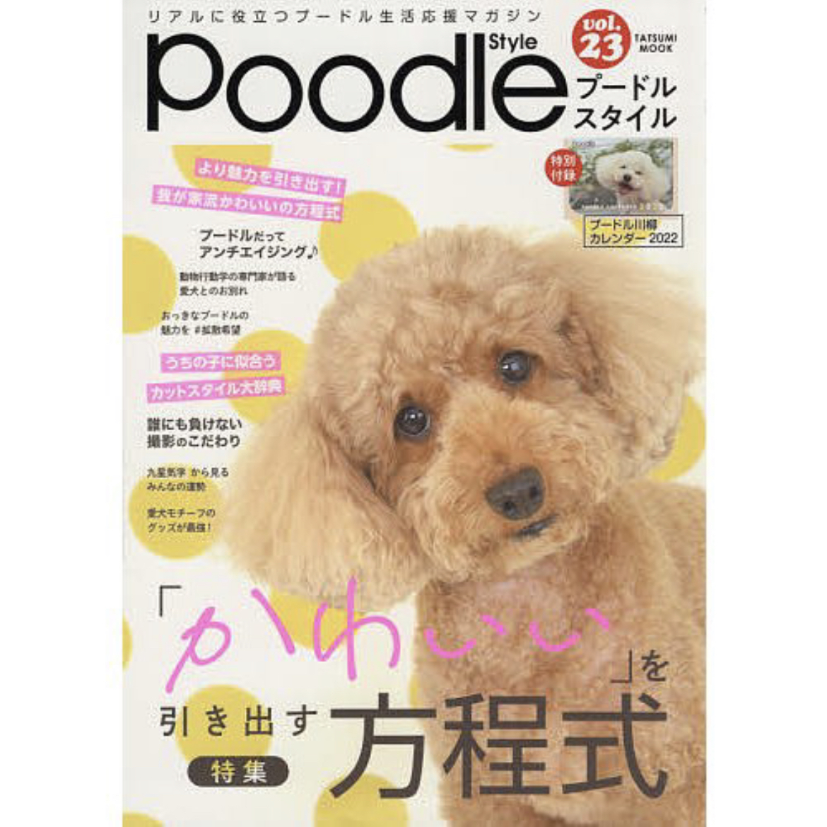 雑誌掲載