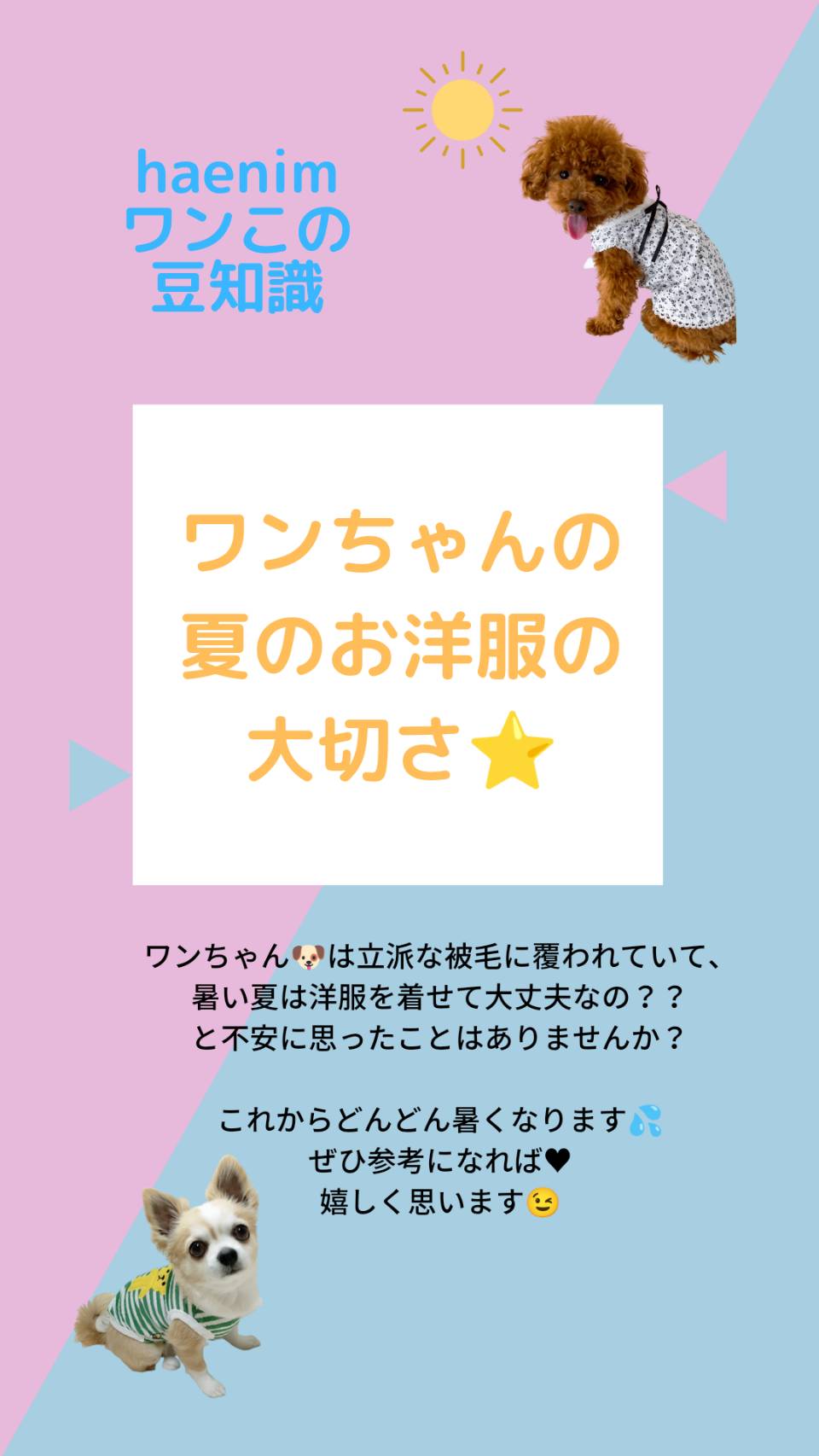 ワンコの夏のお洋服の大切さ