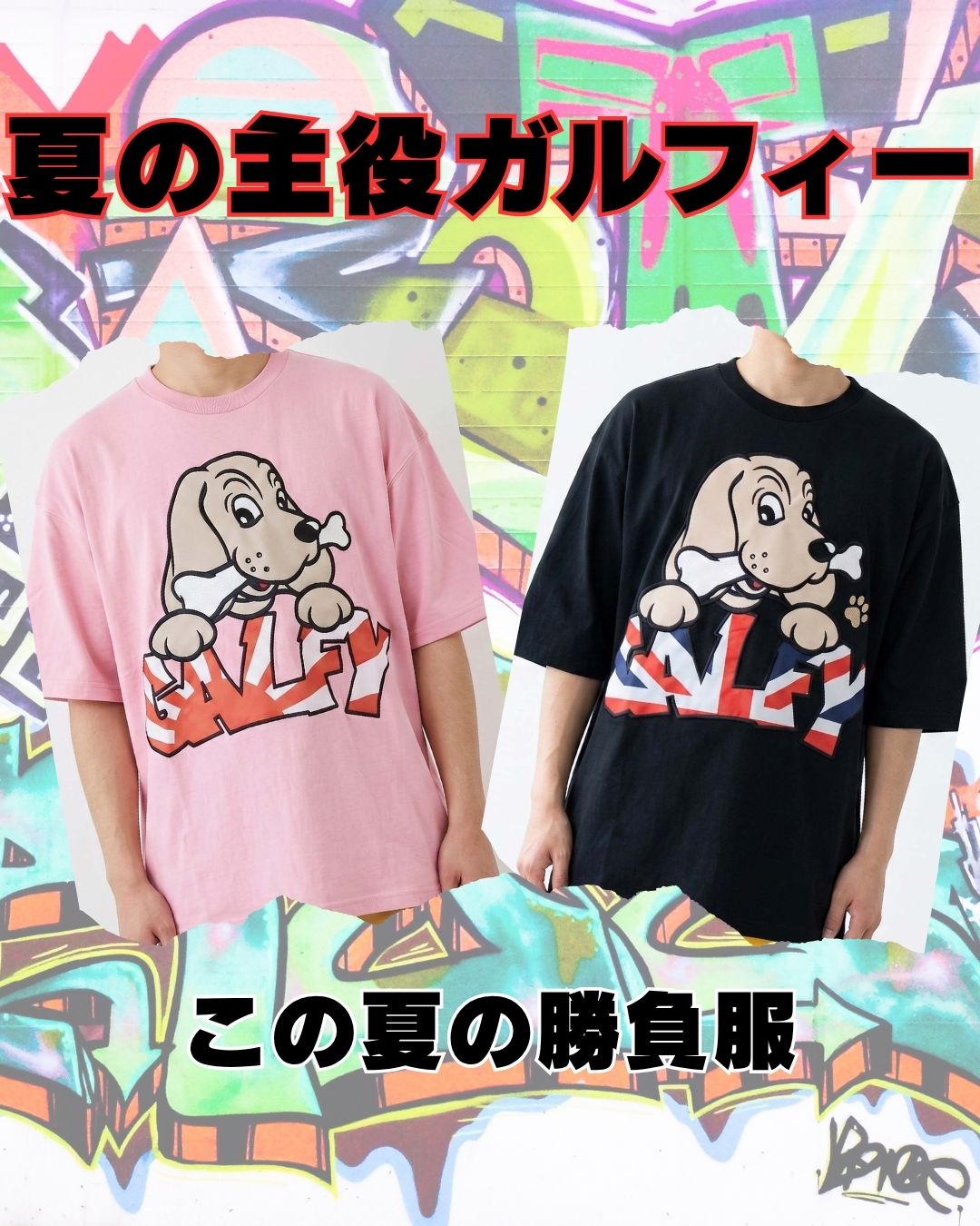 夏の主役ガルフィー