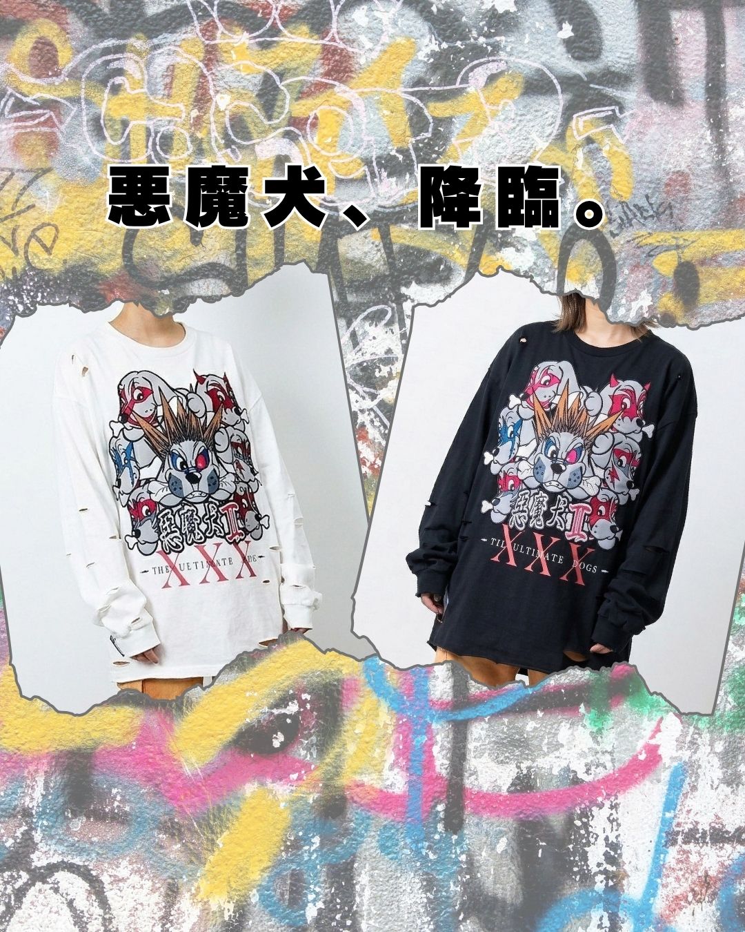 悪魔犬 降臨