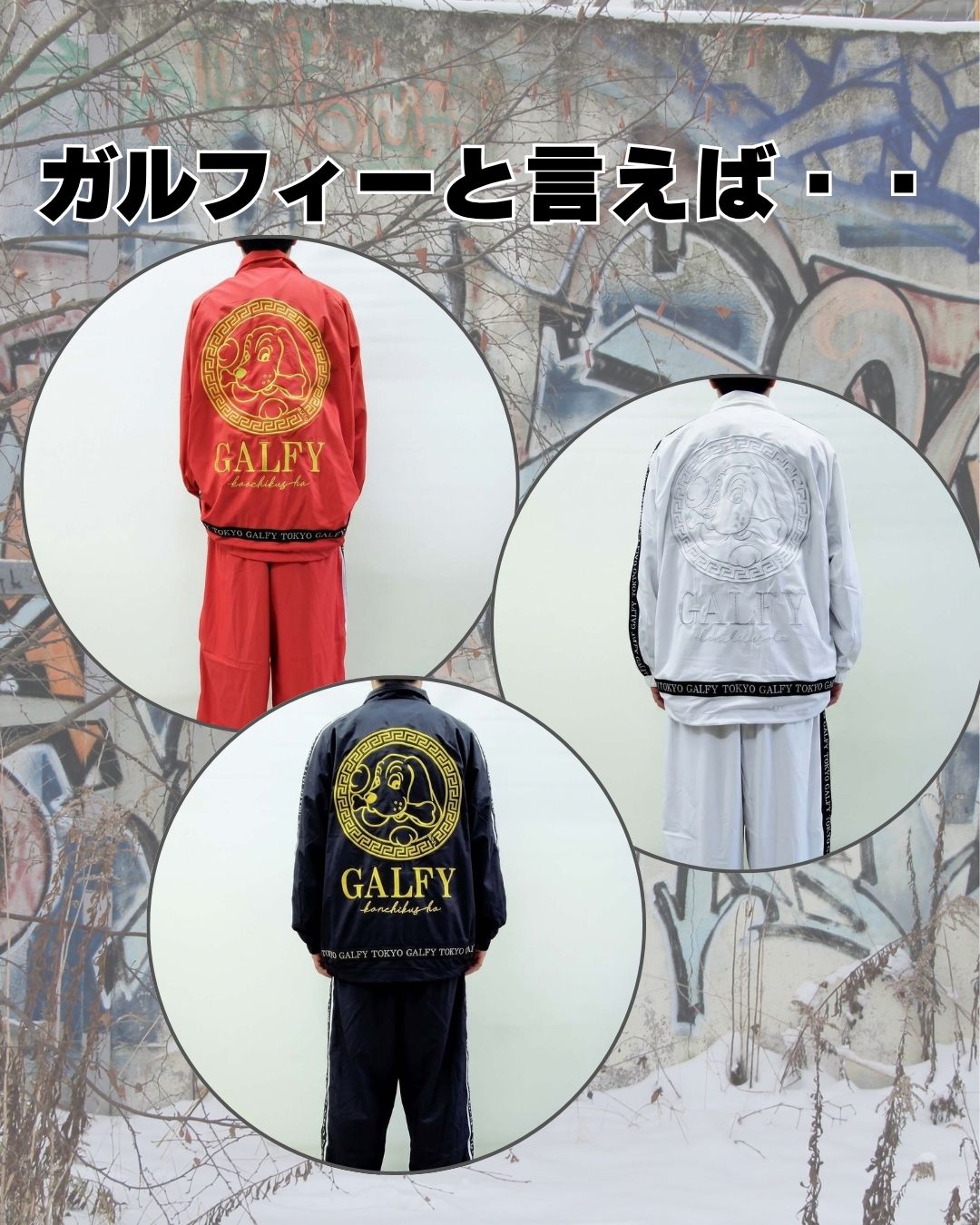 ガルフィーと言えば・・・