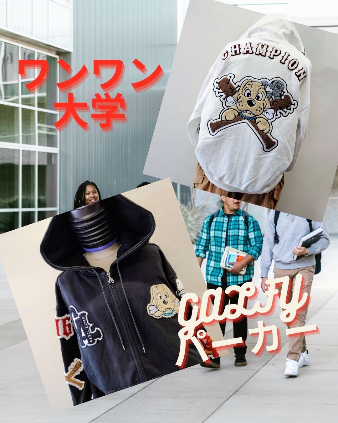 復活ワンワン大学　ガルフィーパーカー