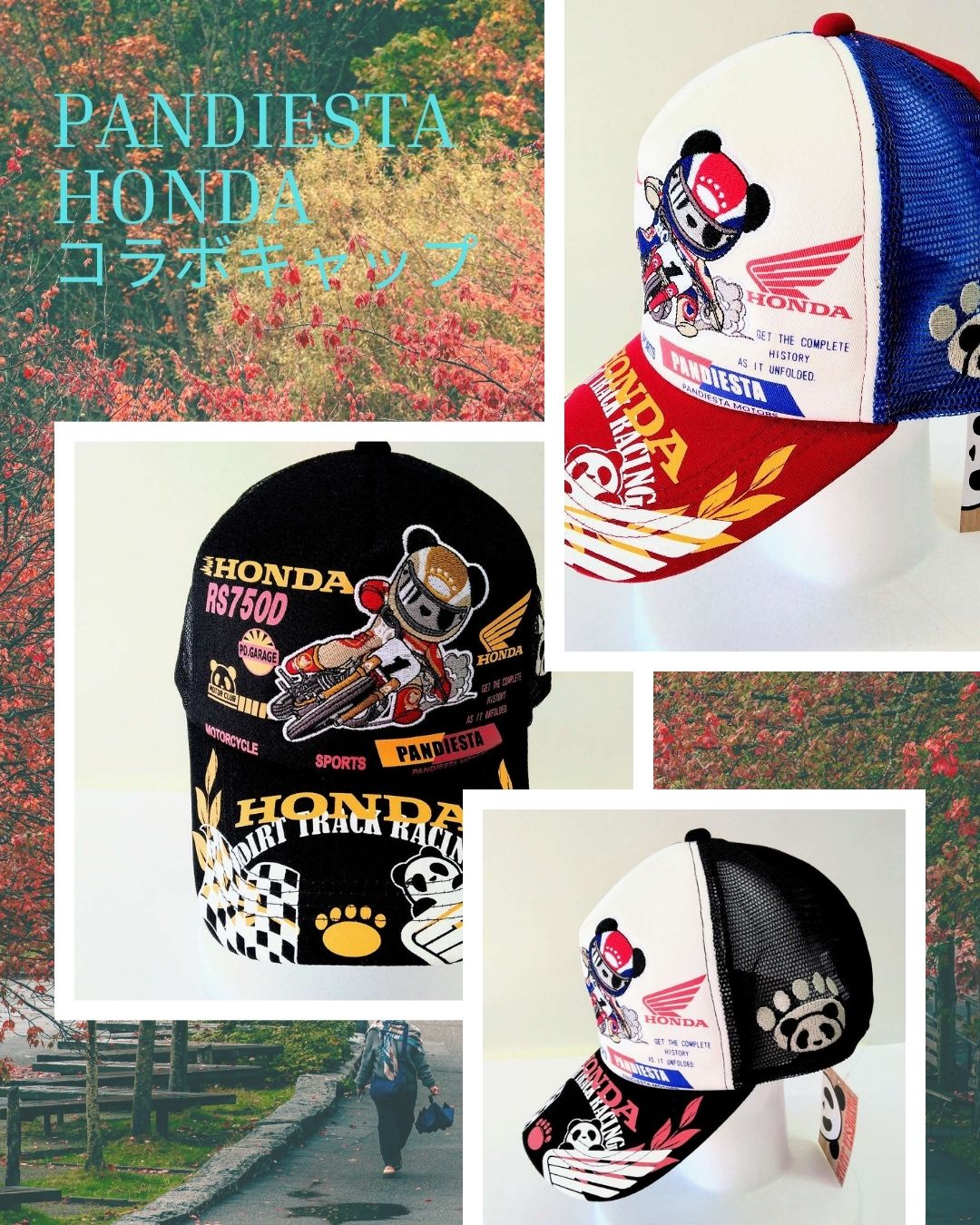 PANDIESTA　HONDA　コラボキャップ