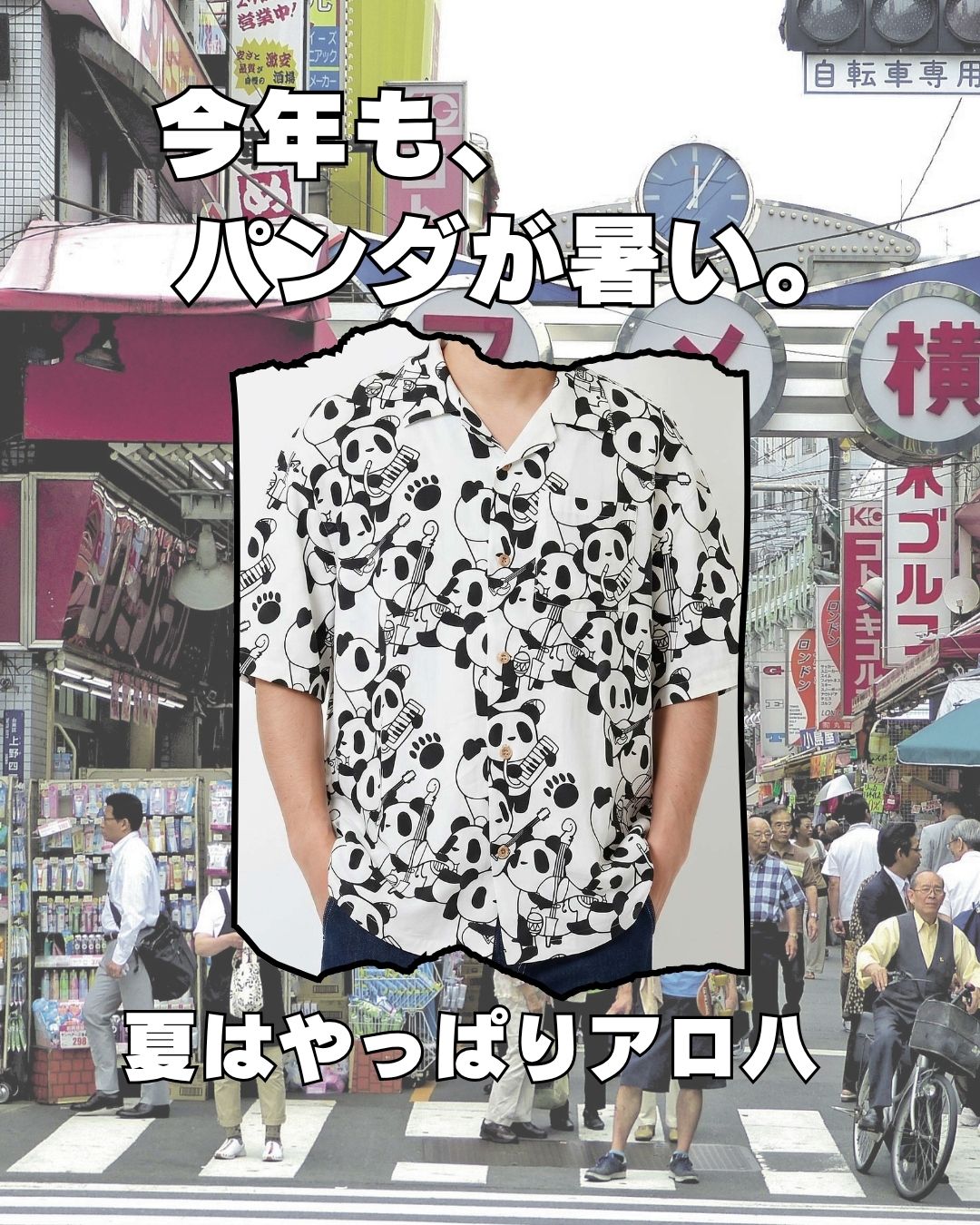 パンディエスタ　アロハ