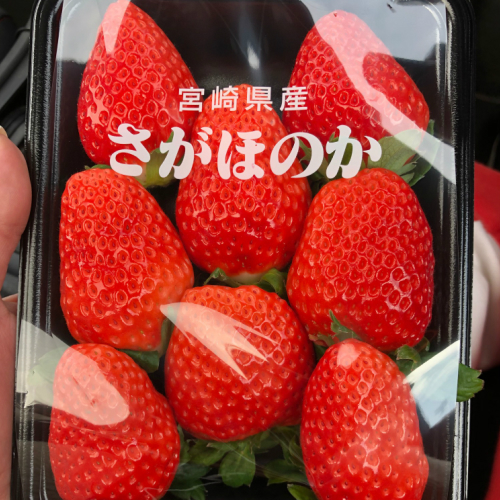 ビタミン業界のエース　ビタミンCって？？？☆彡