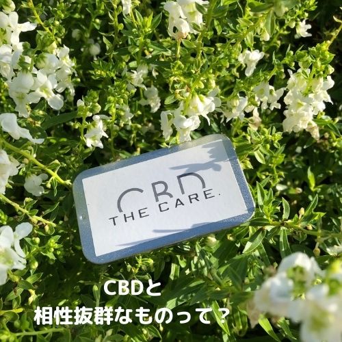 CBDと相性抜群？？？