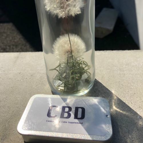 CBD（カンナビジオール）含有量について☆彡
