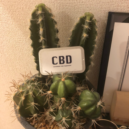 CBD（カンナビジオール）オイルの体験談☆彡