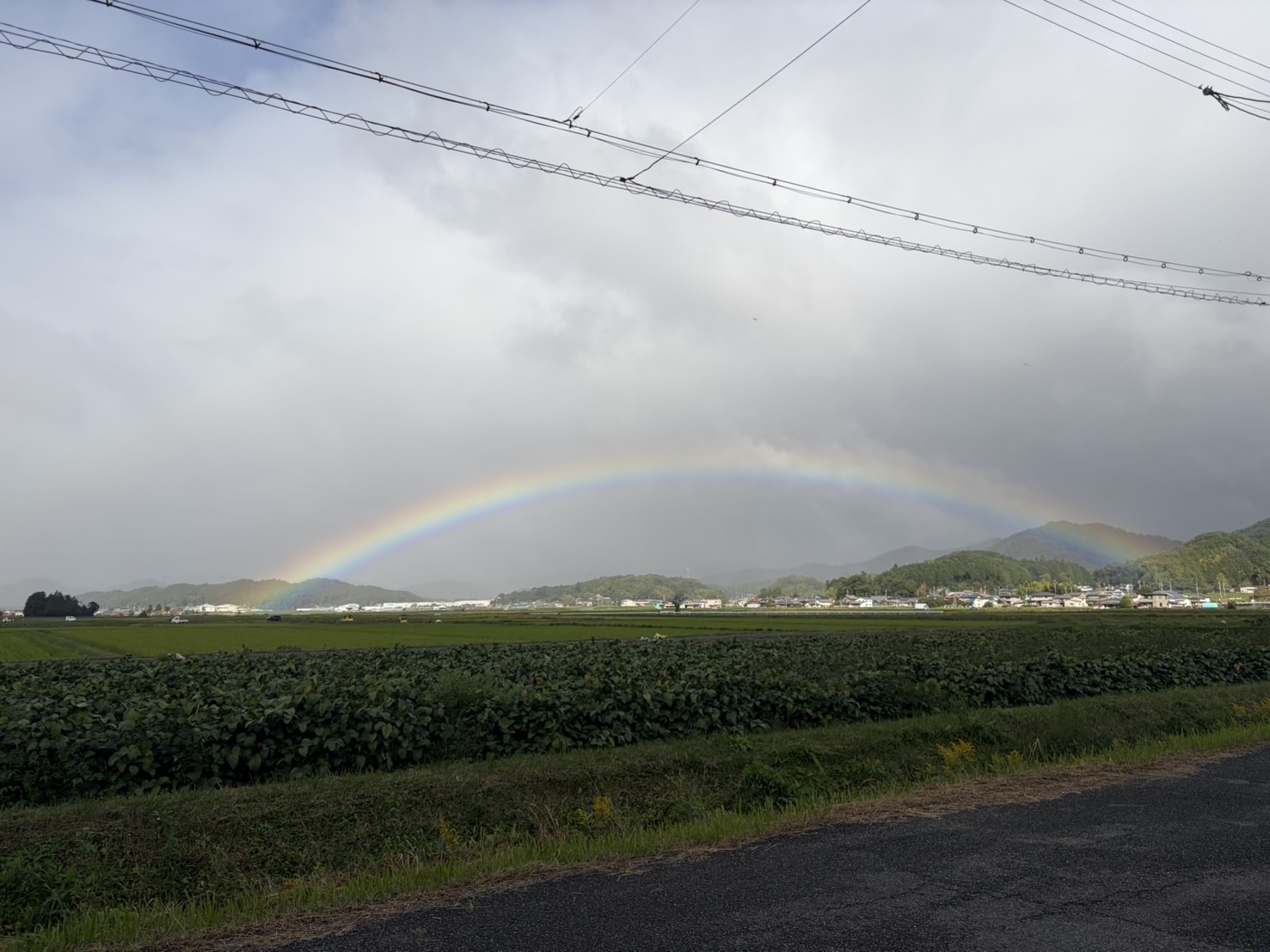 本日より配送を開始いたしました📦