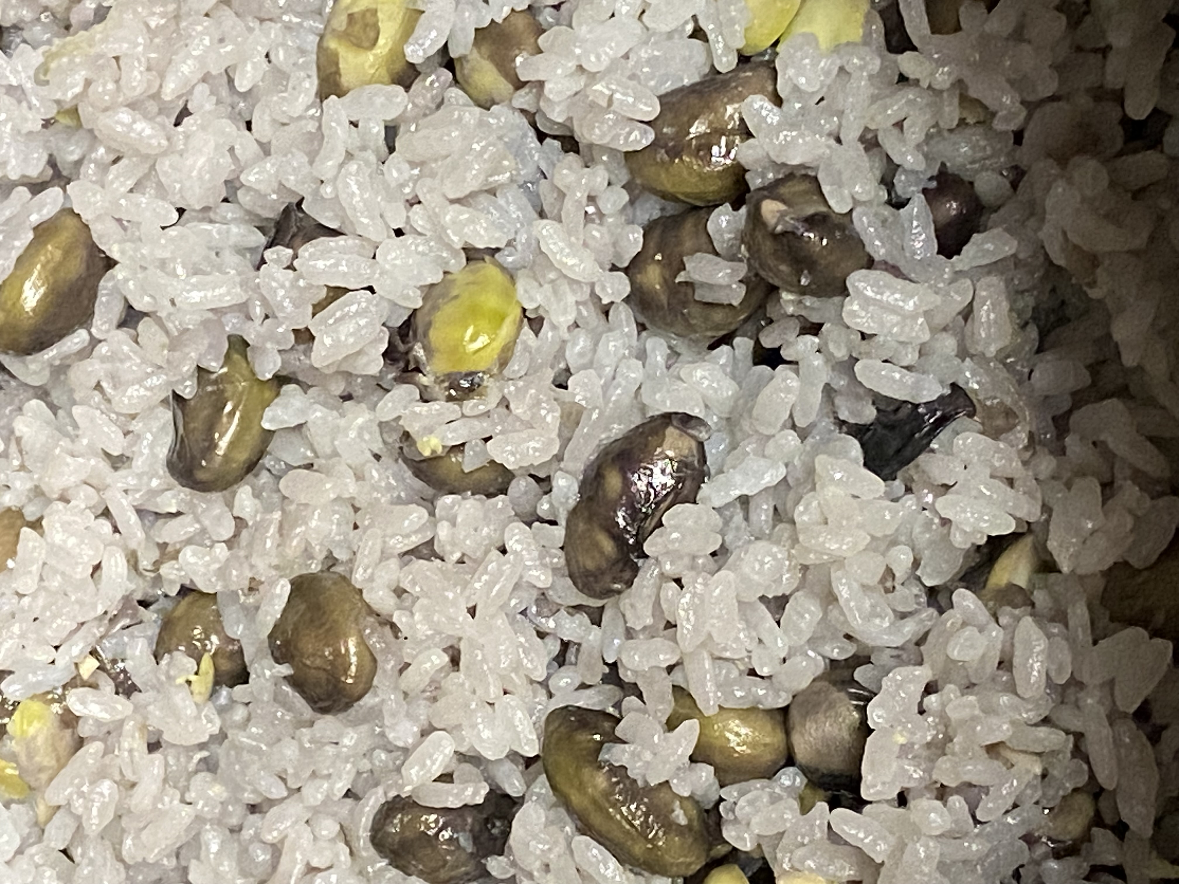 10/29で受付を終了します