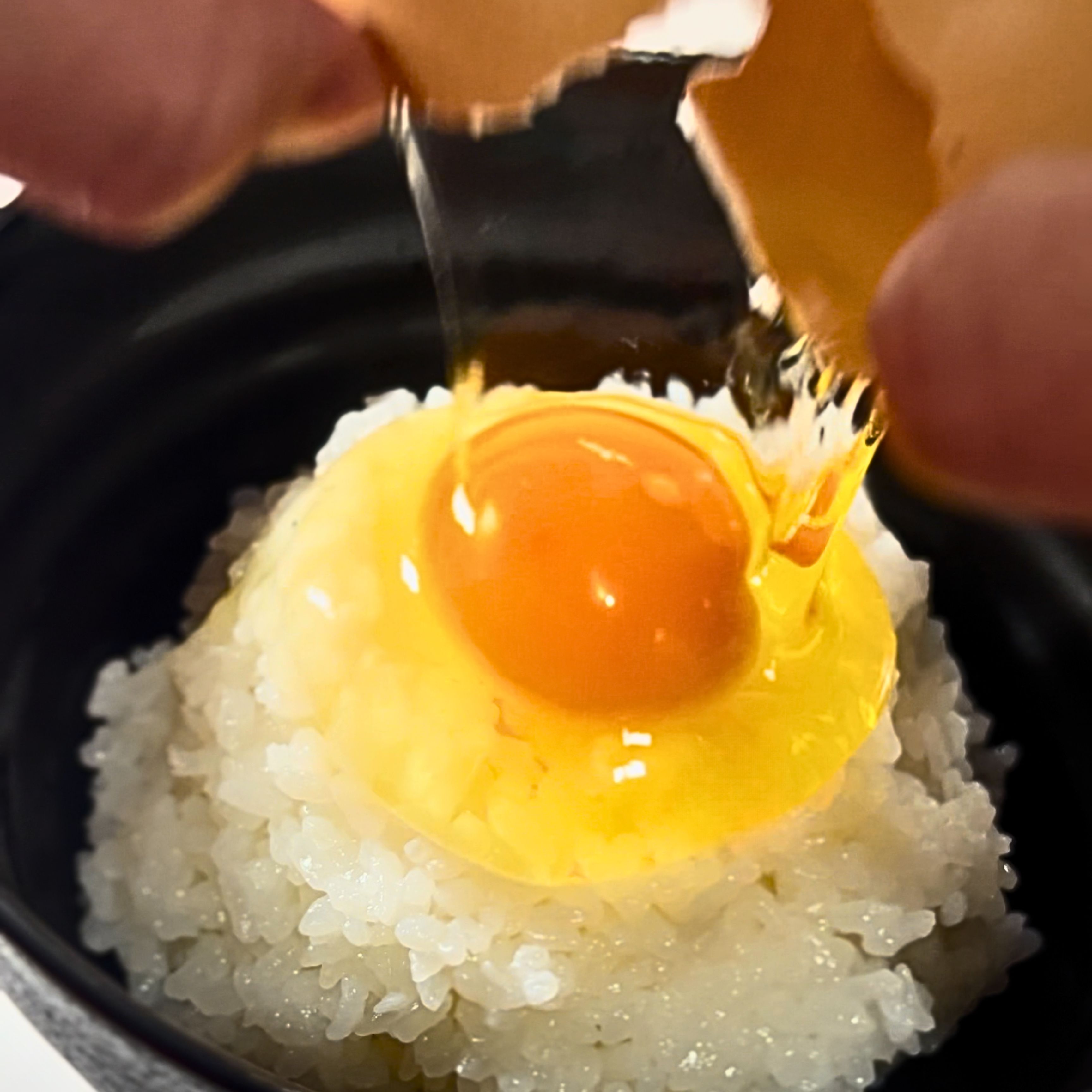 卵かけご飯の究極レシピ！最高級卵で朝食が変わる