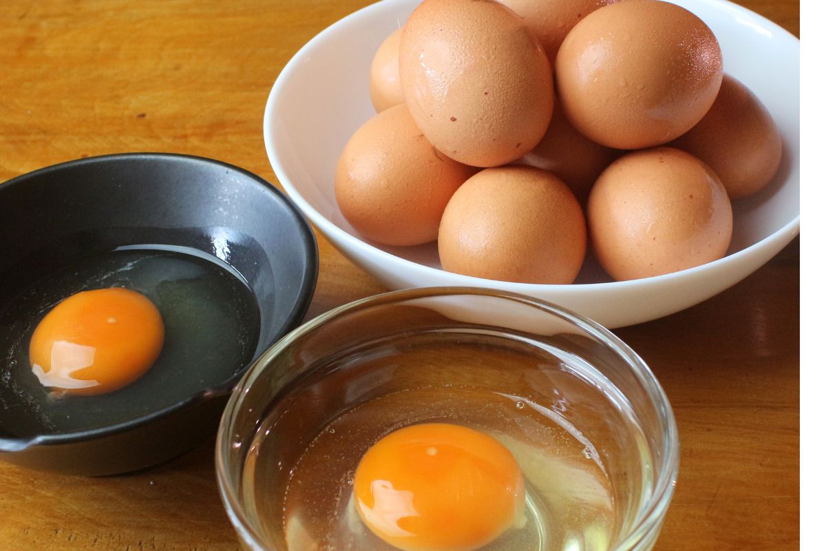 卵=太るは誤解?1日何個まで?卵の栄養をやさしく解説