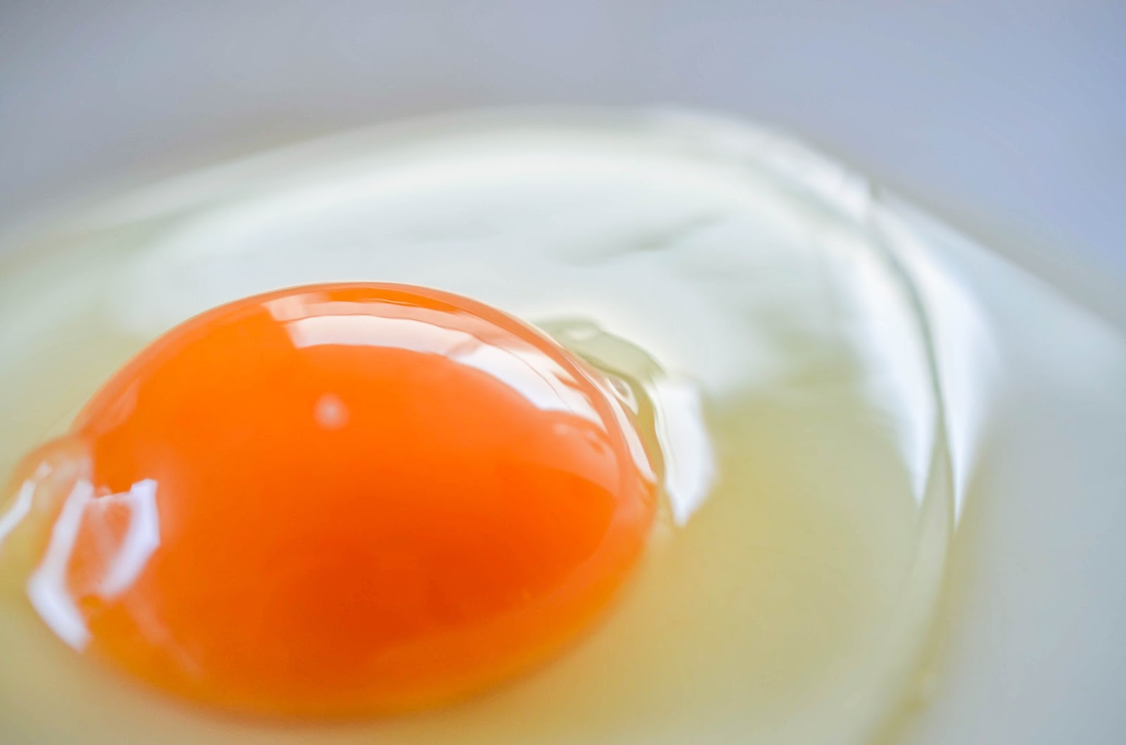 新鮮な卵の特徴｜新鮮な卵の見分け方とは？鮮度を保つ方法も紹介