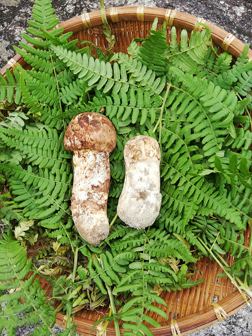 【近況報告 10/4】