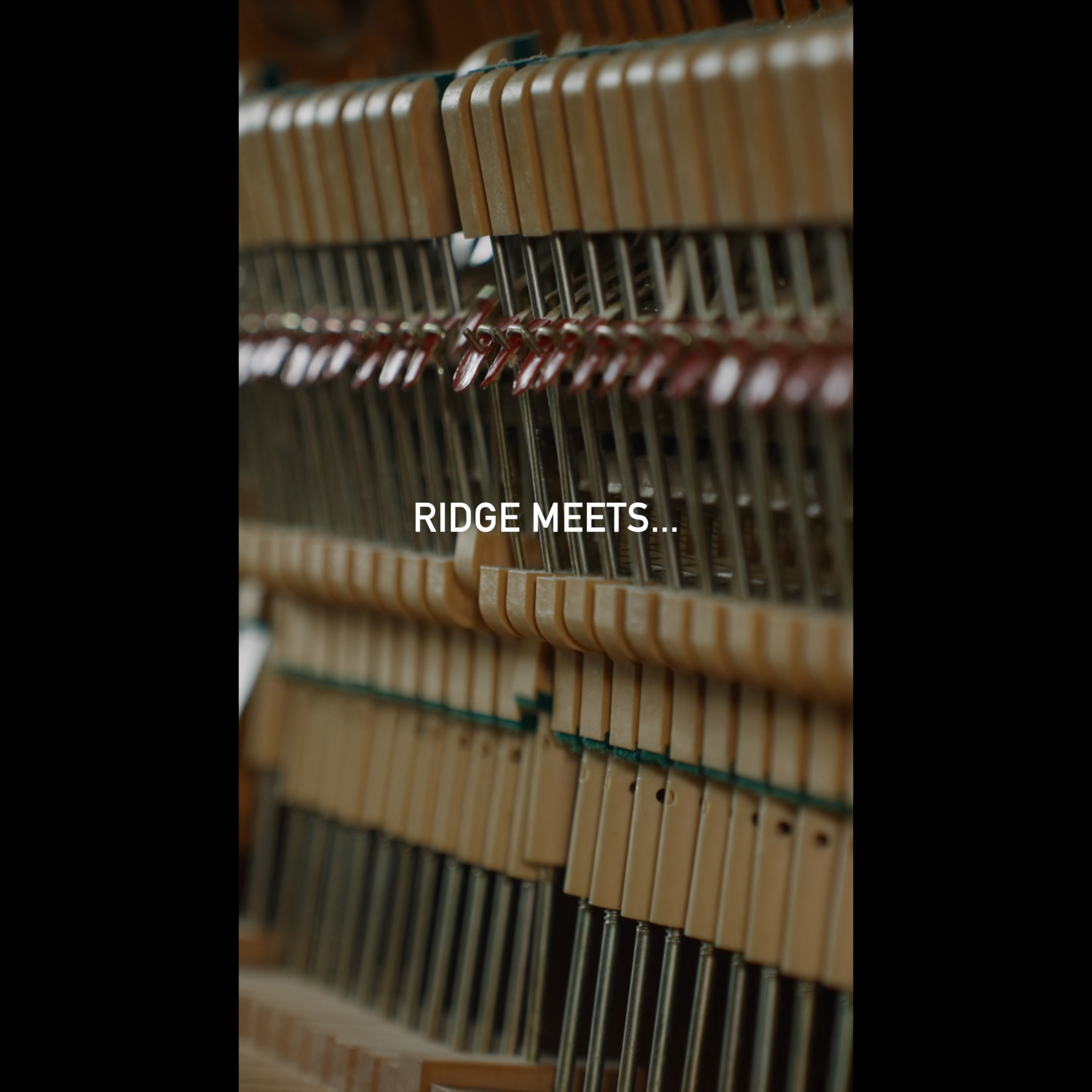 RIDGE MEETS… Vol.17|Moshimoss - Trailer