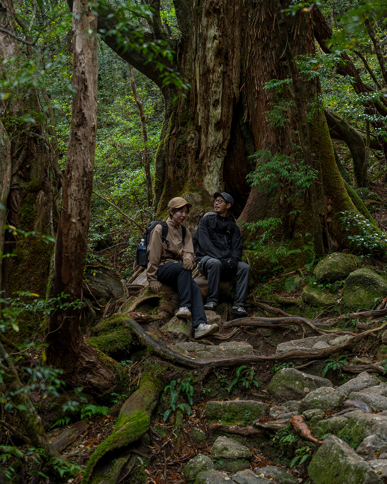 白谷雲水峡〜新高塚小屋