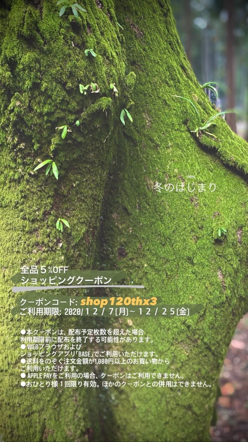 期間限定全品5%OFFクーポン