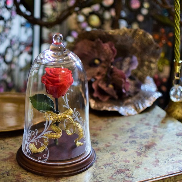美女と野獣や星の王子さまのようなガラスドームに入った赤バラ｜幕張のお花屋さんブーケアンドブーケ