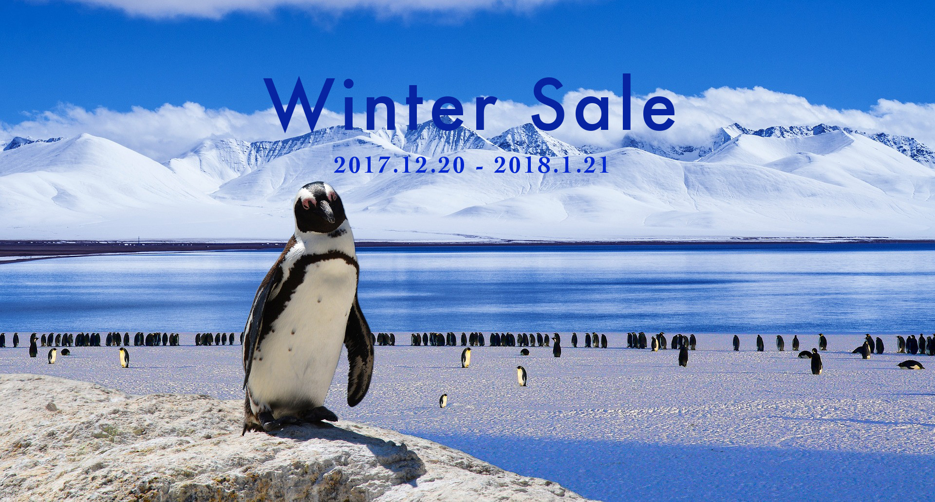 Winter Sale マリンコラーゲン10％OFF 2017-2018