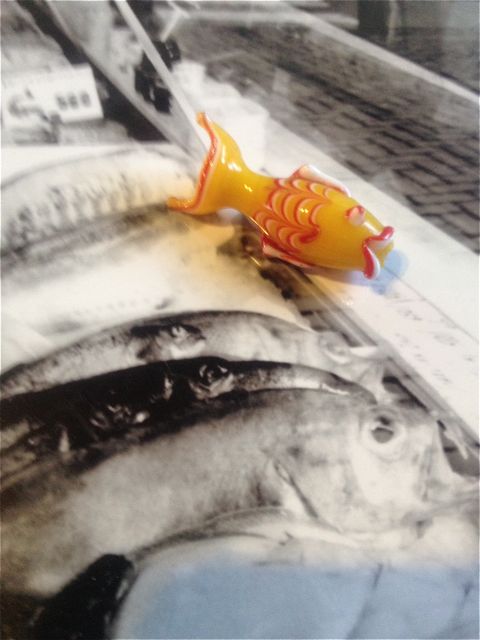 珍しいお魚のトンボ玉