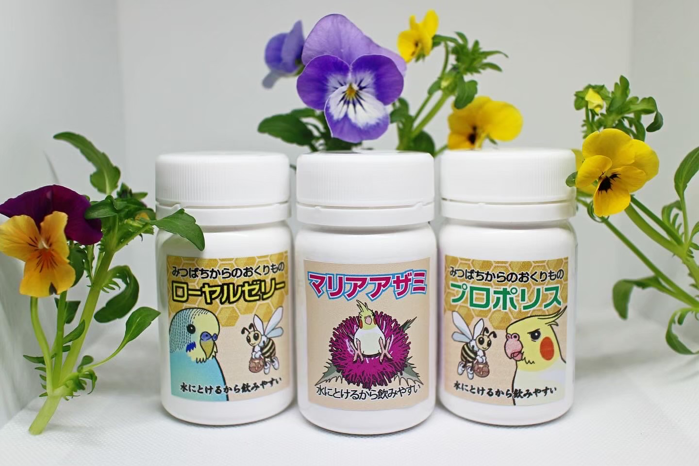 定期便について