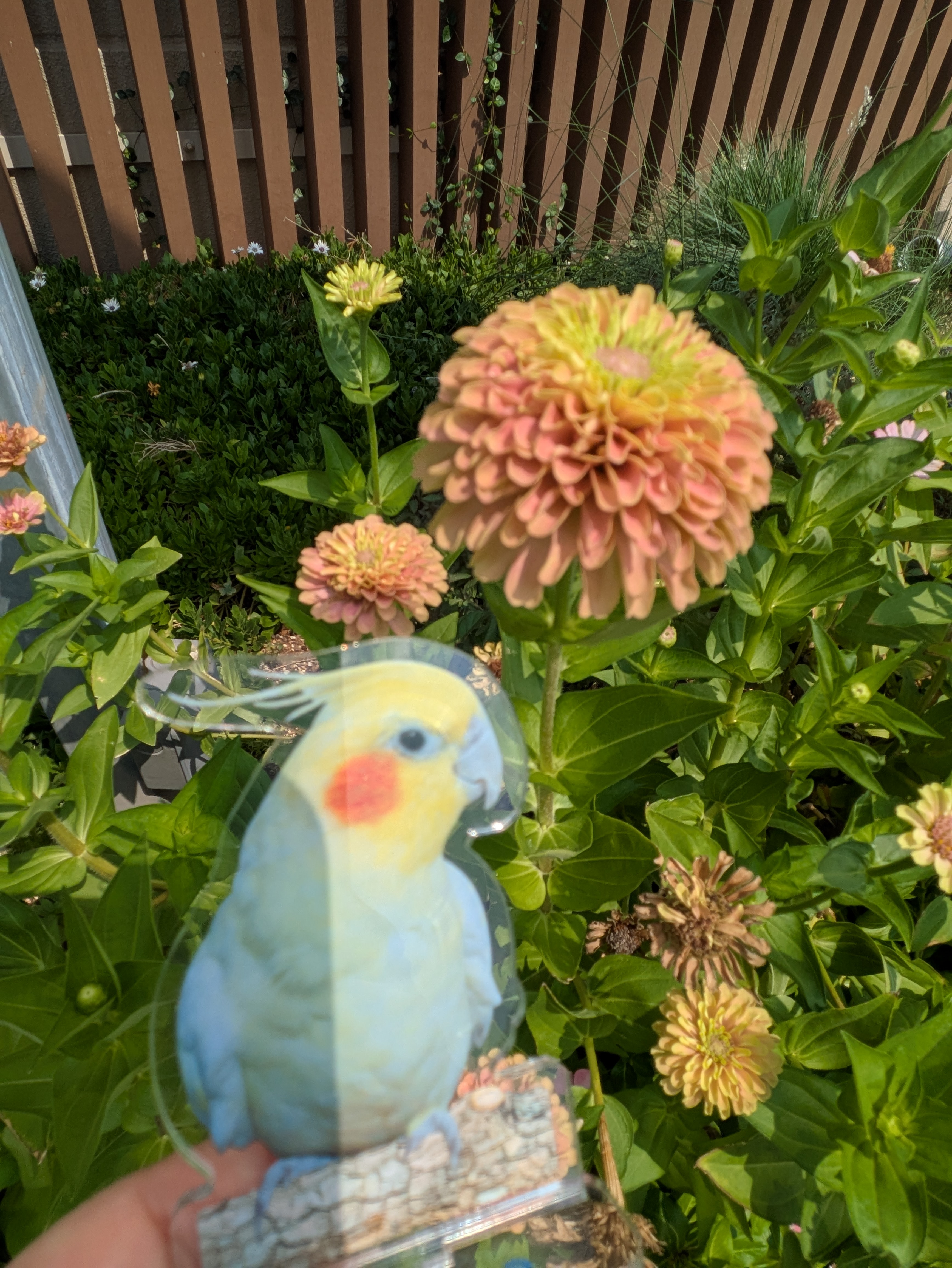 9月20日お休みします