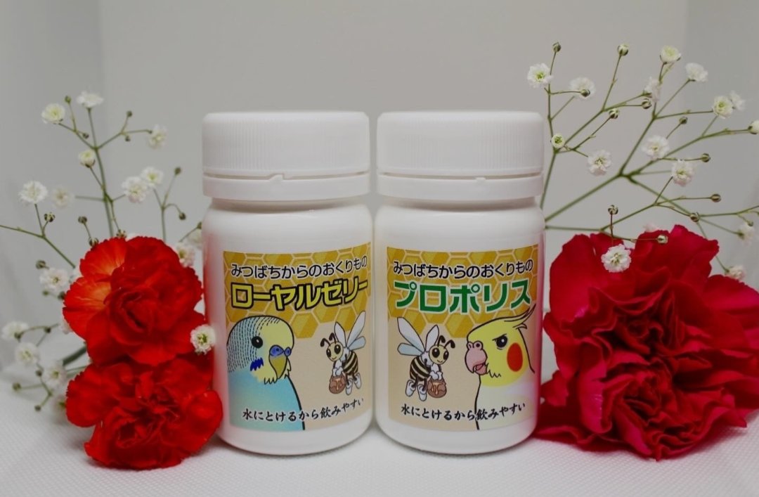 今更ですが、今年の抱負を。