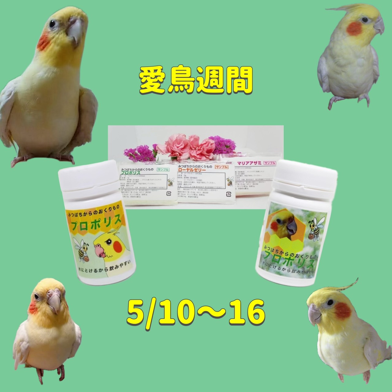 愛鳥週間！プロポリス＆サンプルセット10%OFFクーポン！