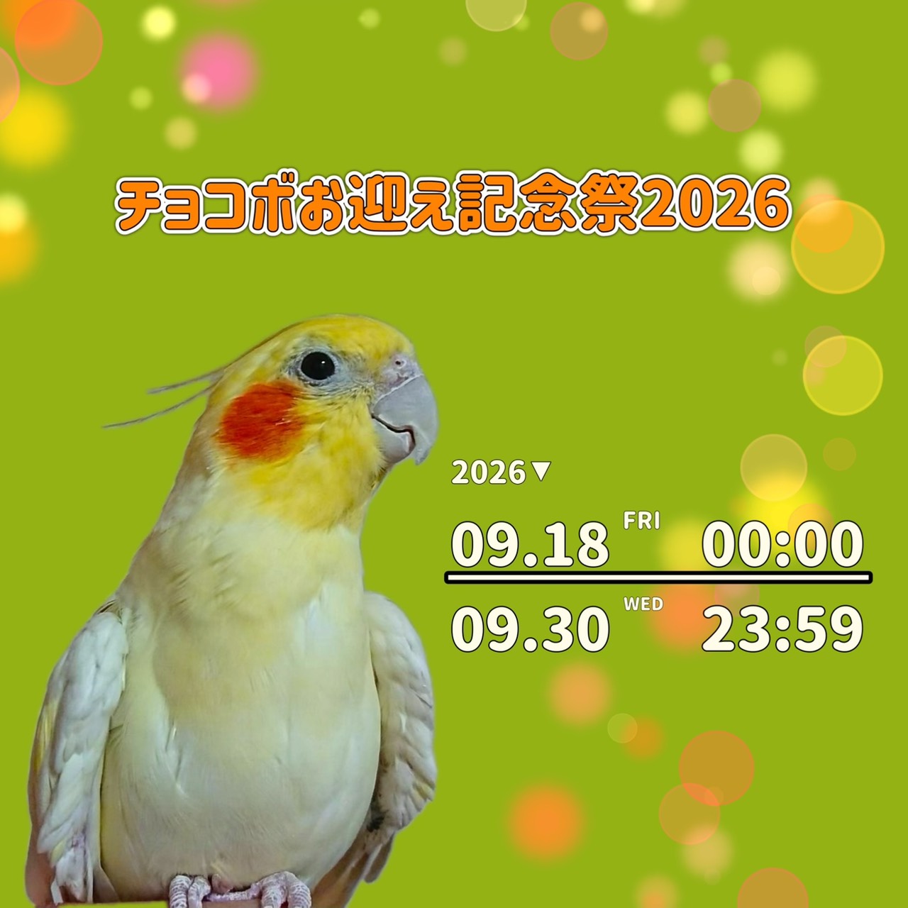 チョコボお迎え記念祭2026