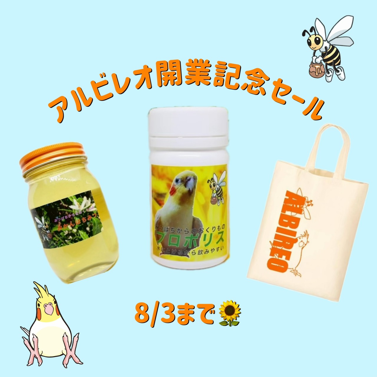 🌻アルビレオの開業記念セールは8月3日(月)まで🌻