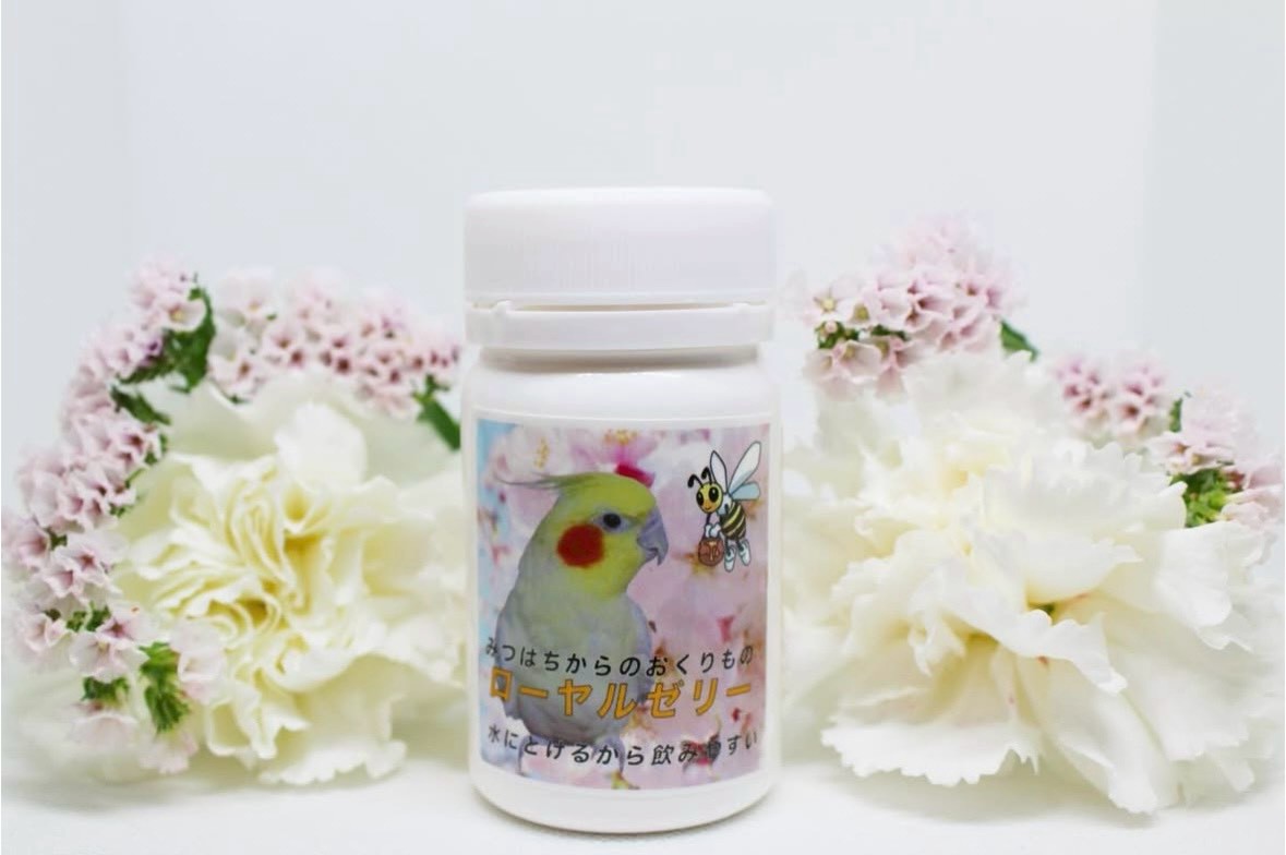 春のローヤルゼリーまつり♪