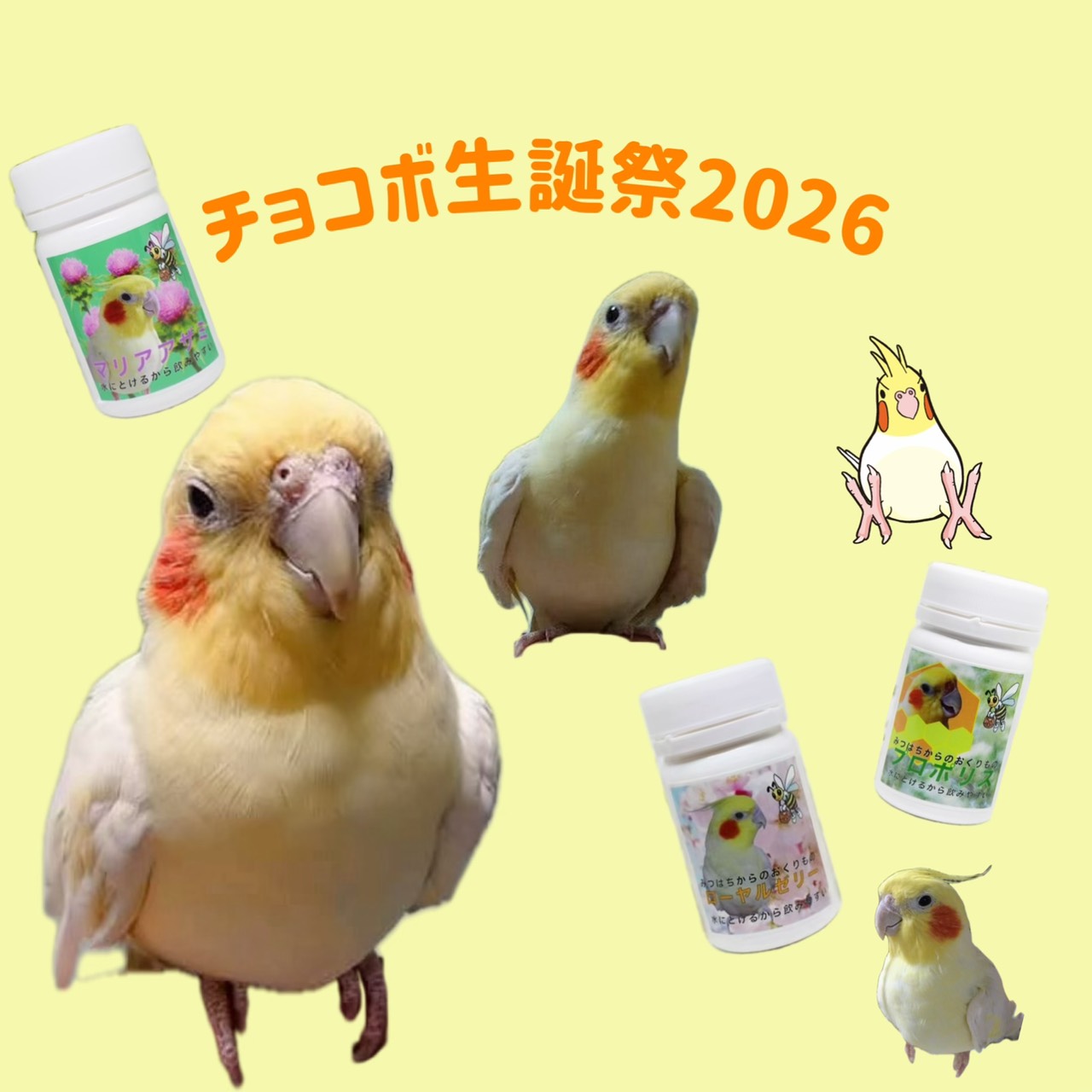 チョコボ生誕祭2026