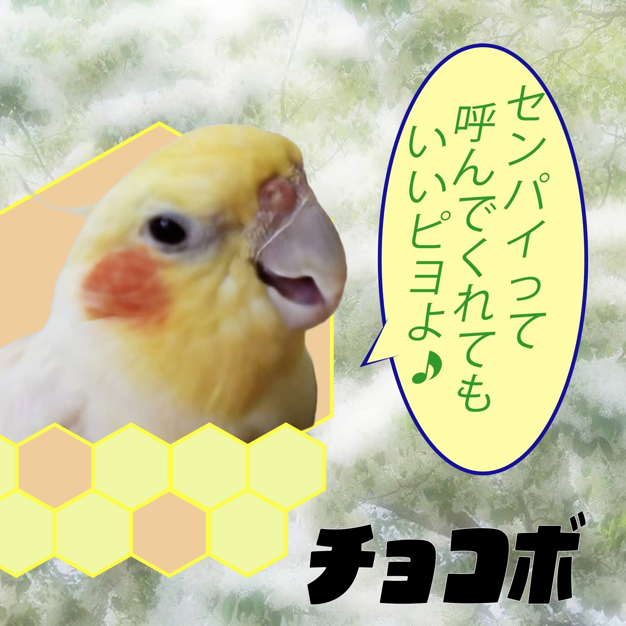 「みつばちの日セール」のお知らせ