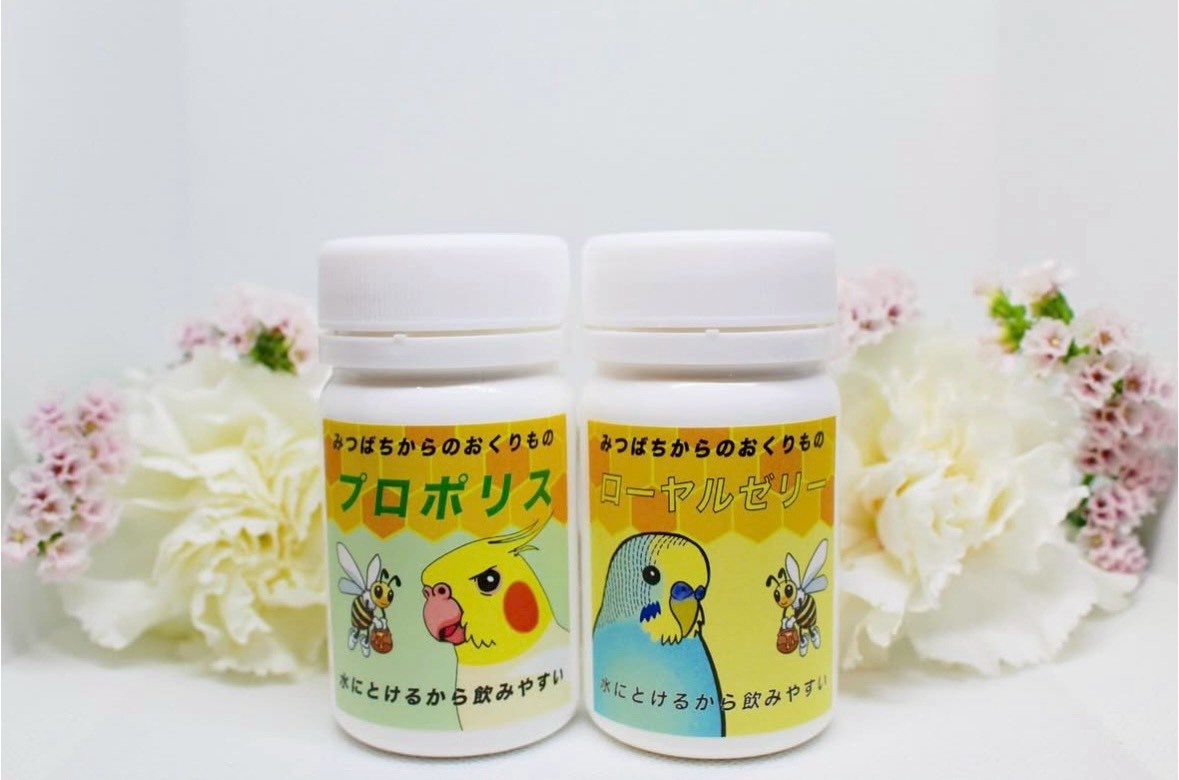 台湾産ローヤルゼリー入荷の目処がつきました!