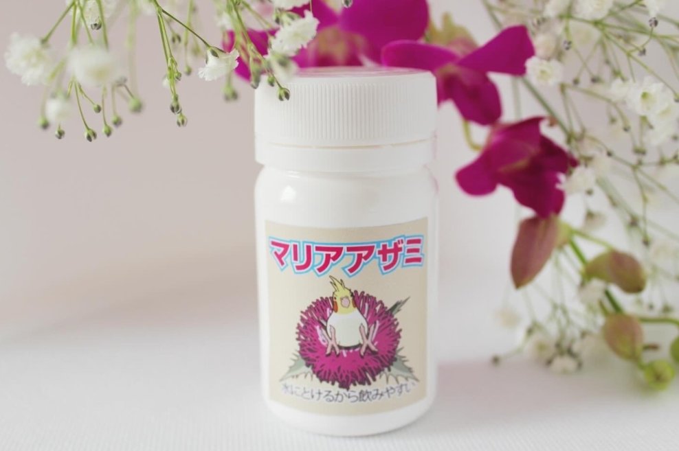 新春イベントについて