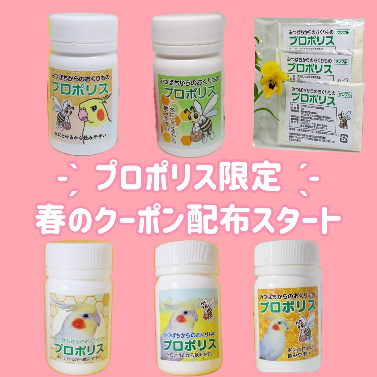 プロポリス限定・春の割引クーポン！！