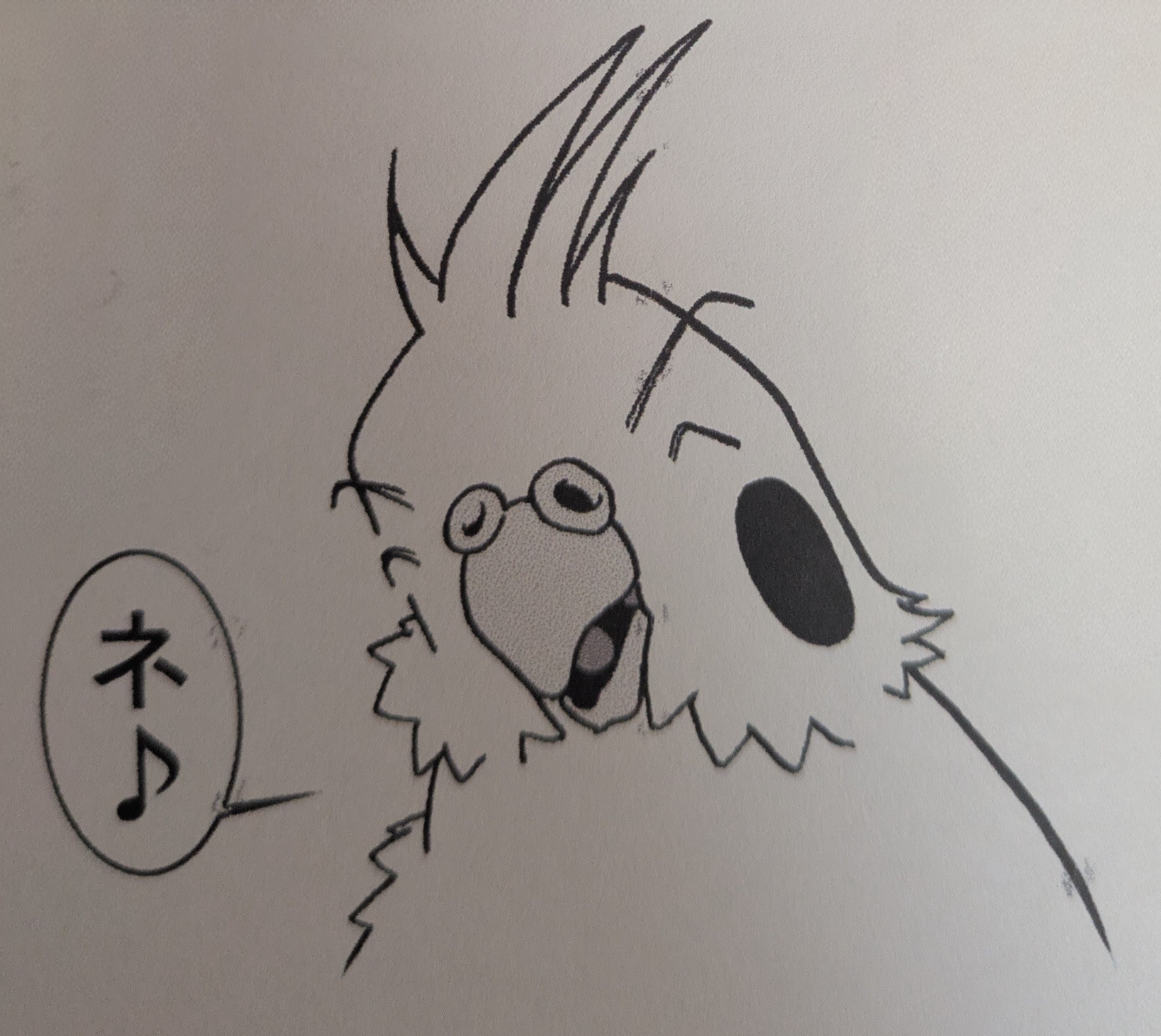 アルビレオのネットショップでお買い物ができないという現象について