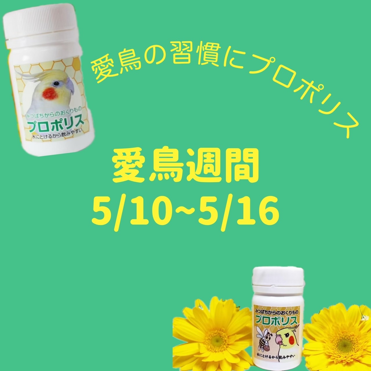 プロポリス限定　愛鳥週間クーポン♪