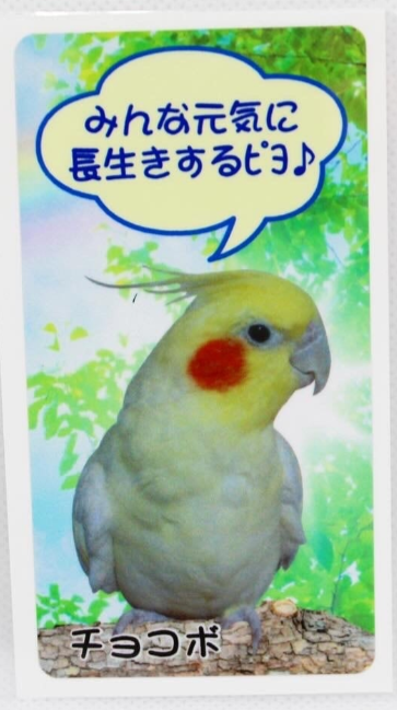 チョコボグッズプレゼント終了のお知らせ