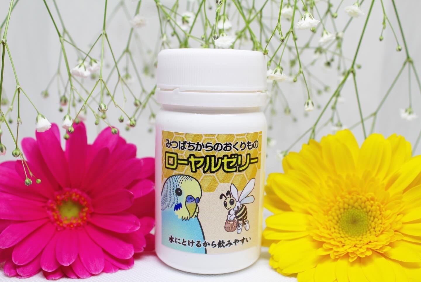 価格と定期便について