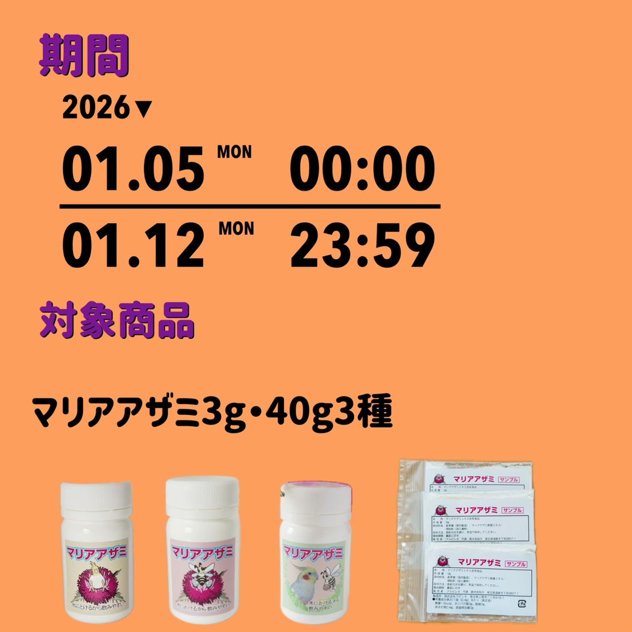 昨年の振り返りと、新春初売り企画第一弾！