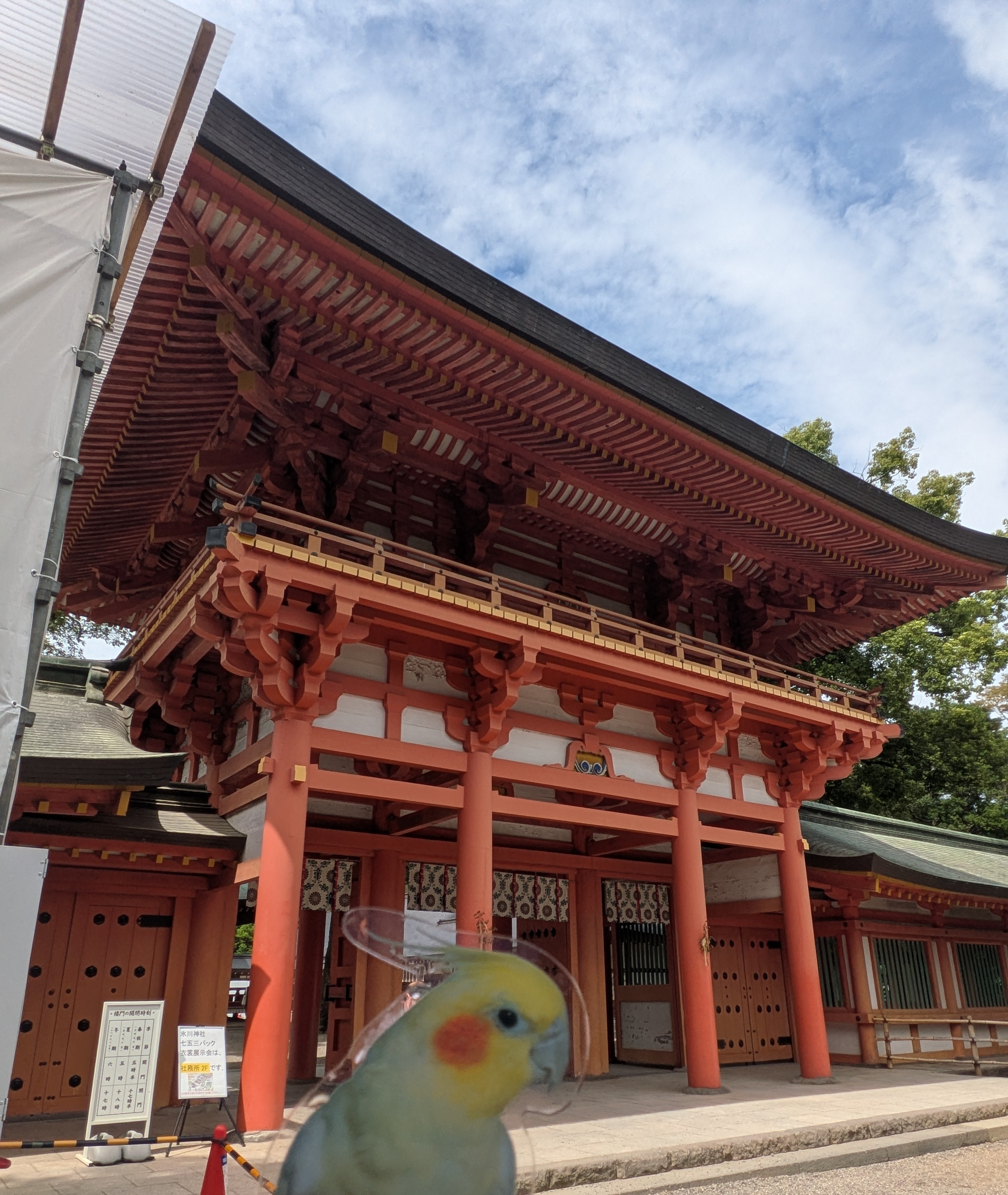 臨時休業のお知らせ