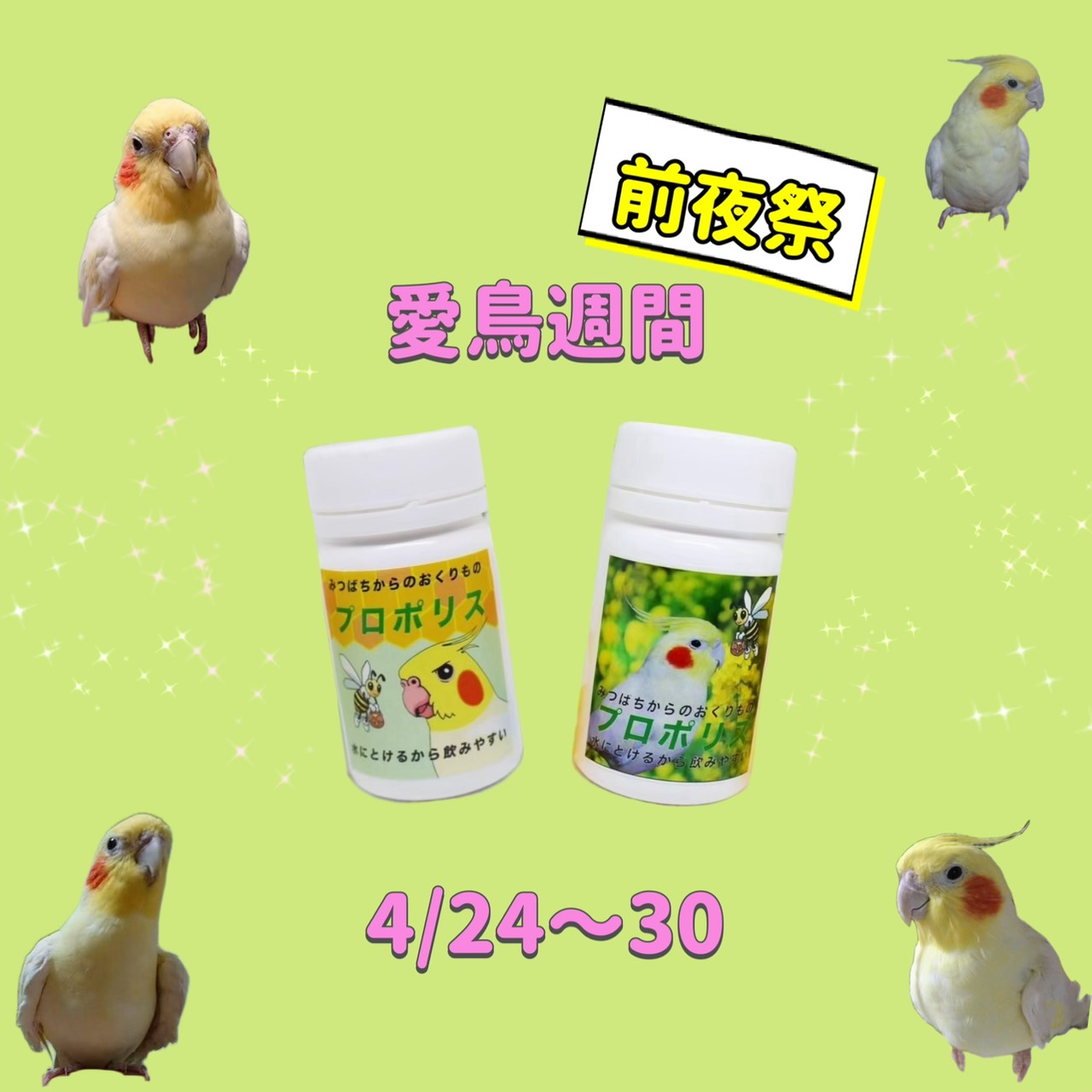 PayIDポイント大還元ウィークと愛鳥週間前夜祭！