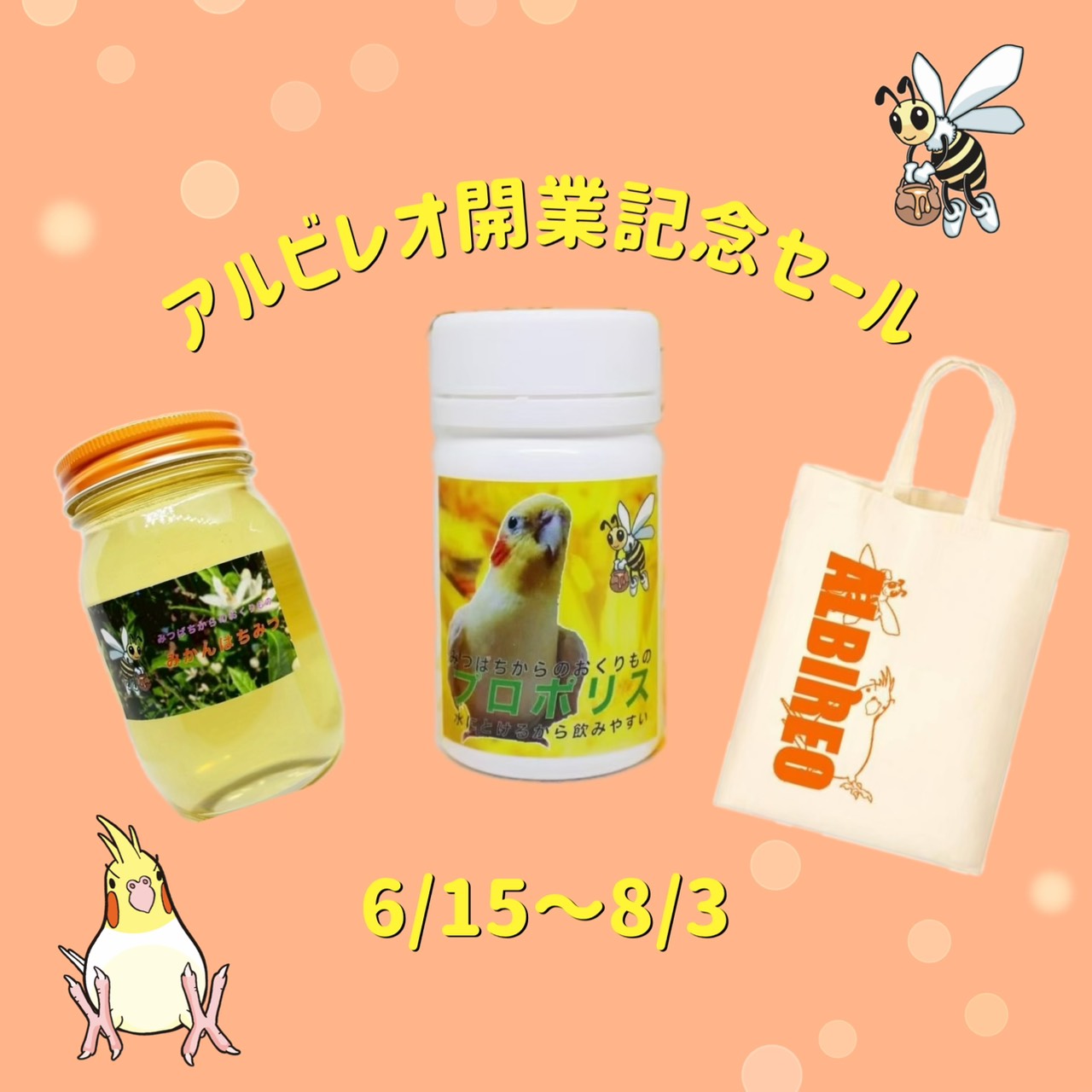 開業記念セール始まります!