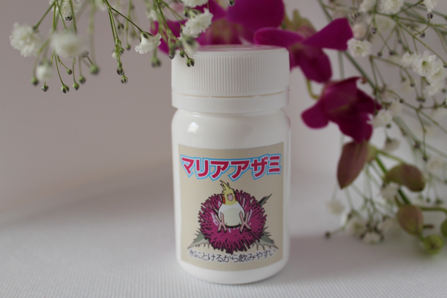 大人のダイエットの日