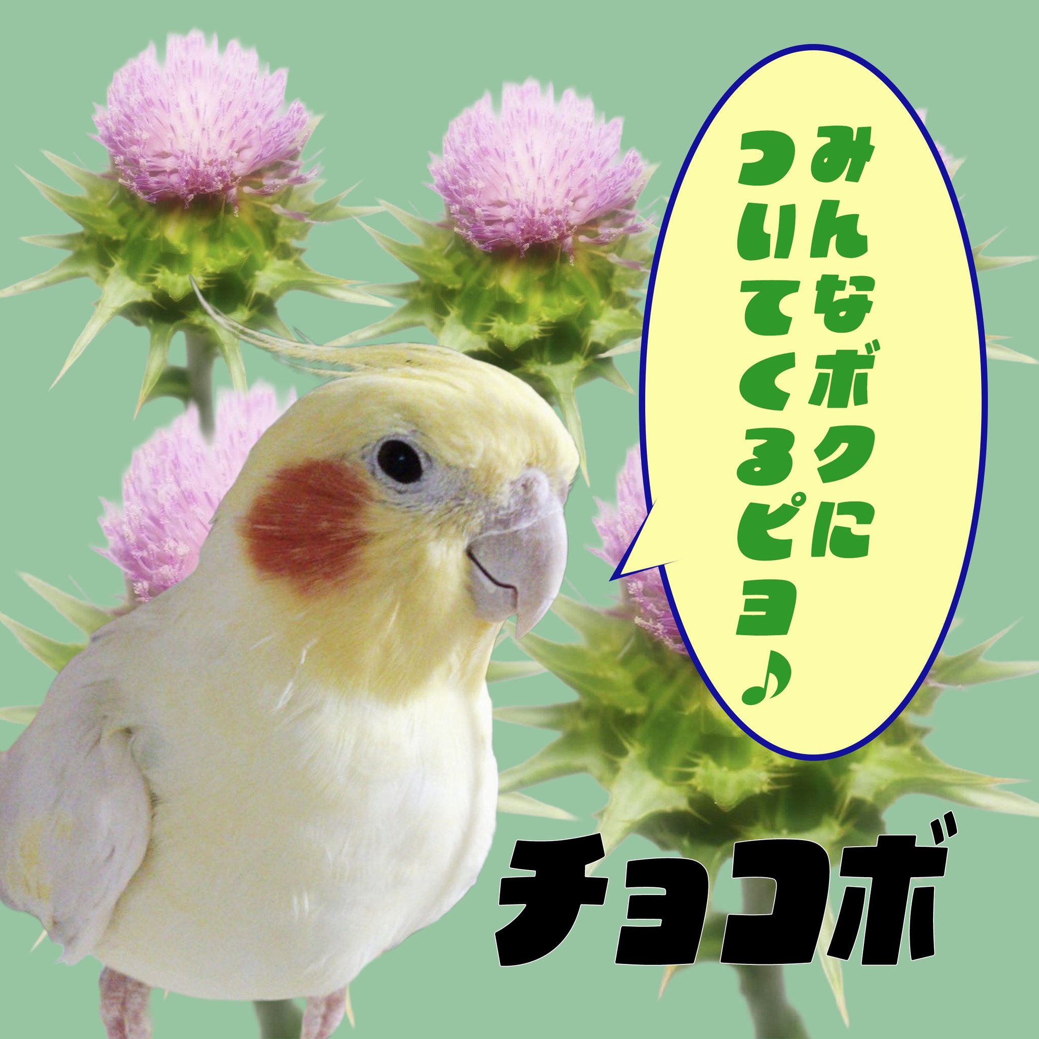 クリスマス年末セールのお知らせ🎄